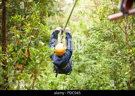 Donna fodera zip tra alberi di boschi Foto Stock