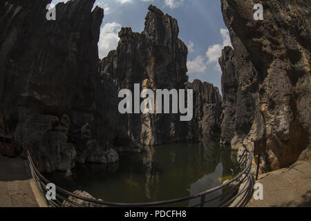 Kunming, Kunming, in Cina. Il 9 agosto, 2018. Kunming, in Cina-La Foresta di Pietra, noto anche come Shilin, è una spettacolare serie di gruppi di pietra calcarea e il rappresentante del sud della Cina di paesaggio carsico situato in Kunming, Cina del sud della provincia di Yunnan. Credito: SIPA Asia/ZUMA filo/Alamy Live News Foto Stock