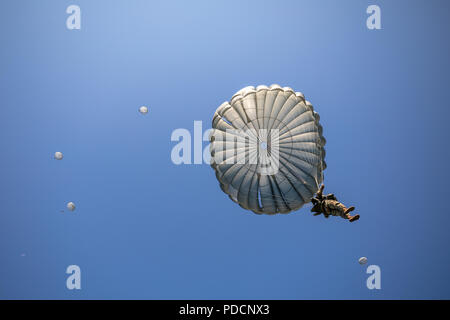 Paracadutisti scendere su Castello zona di caduta durante Leapfest presso la University of Rhode Island, West Kingston, R.I., e il Agosto 5, 2018. Leapfest è il più grande e il più lungo in piedi, international static line parachute evento di formazione e competizione ospitata dalla 56th squadrone comando, Rhode Island esercito Guardia Nazionale per promuovere tecniche di alto livello e esprit de corps entro il International Airborne comunità. (U.S. Esercito foto di Sgt. Giuseppina Carlson) Foto Stock