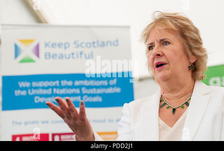 One Planet picnic Pocket Gardens nell'area Garden for Life a Gardening Scotland, questi gard Foto Stock