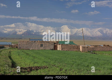 7,134 metri di Picco Lenin e l'alto Pamirs salire oltre Sary Mogul, Kirghizistan Foto Stock