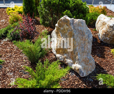 La progettazione paesaggistica. Boccole, rocce Dwarf abete rosso fiori Fern Foto Stock