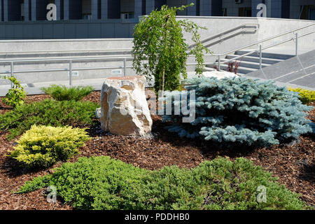 La progettazione paesaggistica. Boccole, rocce Dwarf abete rosso fiori Fern Foto Stock