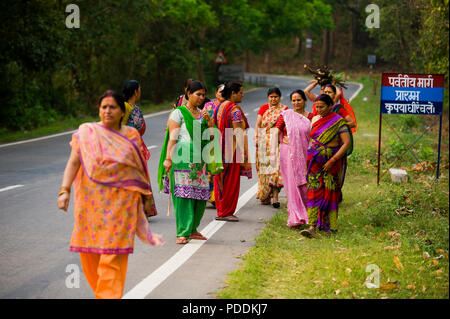Indian womans nel tradizionale sari sulla strada Kaladhungi-Naini Tal vicino Kaladhungi, Uttarakhand, India Foto Stock