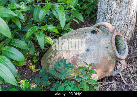 Vecchio vaso di terracotta in Egeo ,Fethiye , Turchia Foto Stock