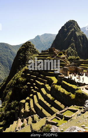 Machu Picchu terrazze. Gli agricoltori Inca utilizzato tali terrazzamenti durante l'impero per controllare erosione e aumento di area di superficie. Regione di Cuzco, Perù. Lug 2018 Foto Stock