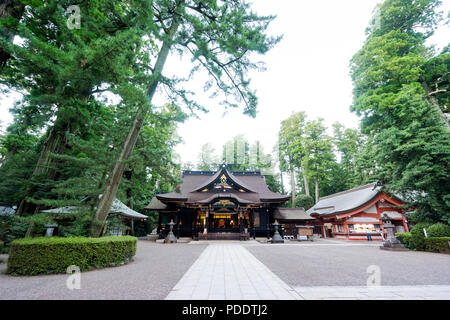 Katori jingu nella foresta verde. La storia patrimonio culturale nella prefettura di Chiba, Giappone Foto Stock