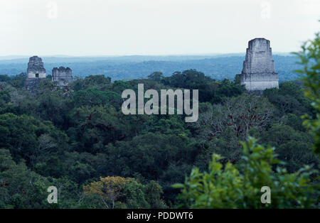 Templi I,II, III che si eleva al di sopra della giungla di Tikal in Guatemala Foto Stock