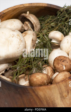 Tre varietà di funghi e un rametto di rosmarino. Melbourne, Victoria, Australia Foto Stock