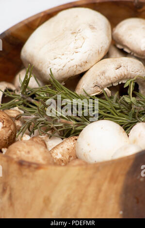 Tre varietà di funghi e un rametto di rosmarino. Melbourne, Victoria, Australia Foto Stock