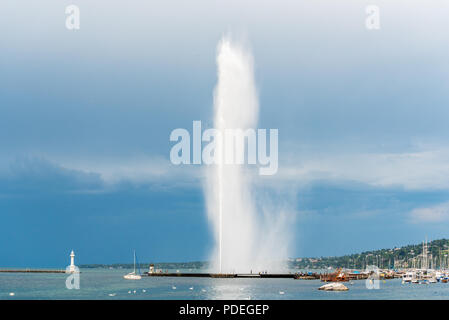 Jet d'eau sulle rive del Lac Leman a Ginevra, Svizzera Foto Stock