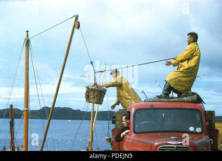 1960s, due pescatori che indossano giacche impermeabili gialle sopra un autocarro in un molo, utilizzando puleys per scaricare cesti di pesce - aringa atlantica - da una barca, Highlands, Scozia, Foto Stock