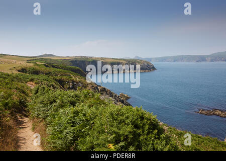 Camminando lungo il Pembrokeshire sentiero costiero su una calda luminosa giornata soleggiata, guardando oltre al mare e Ramsey Island Foto Stock