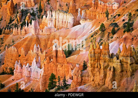 Il torreggiante hoodoos incandescenza al crepuscolo civile dal punto di tramonto in Utah Bryce Canyon National Park. Foto Stock