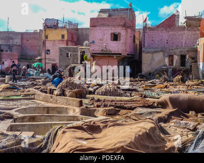 Marrakech, Marocco - Dicembre, 08, 2012: i lavoratori che maneggiano le pelli in corrispondenza di una conceria in Marrakech, Marocco Foto Stock