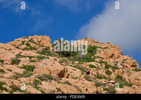 Sullo sfondo di una roccia rossa con alberi sotto il cielo blu con alcune nuvole Foto Stock