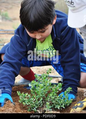 Seth Thomas, figlio di Eileen Takata, architetto del paesaggio, piombo risorse idriche planner e coinvolgimento del pubblico specialista con gli Stati Uniti Esercito di ingegneri di Los Angeles del distretto di divisione di pianificazione, pone l'ultimo impianto nel terreno durante un restauro della comunità-piantando un evento potrebbe 12 in Norco, California. L'evento è stato ospitato dal governo degli STATI UNITI Esercito di ingegneri di Los Angeles District, il suo contraente e la città di Norco come uno sforzo congiunto per aiutare a ripristinare la zona per il suo habitat naturale. Foto Stock