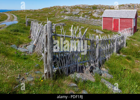 Capanna rossa e la recinzione, Cape Bonavista Lighthous provinciale Sito Storico di Terranova e Labrador, Canada Foto Stock