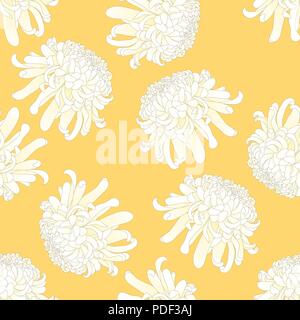 Crisantemo bianco, Kiku fiore giapponese su sfondo giallo. Illustrazione Vettoriale. Illustrazione Vettoriale