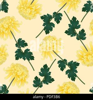 Crisantemo giallo, Kiku fiore giapponese sul Beige sfondo avorio. Illustrazione Vettoriale. Illustrazione Vettoriale