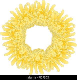 Crisantemo giallo, Kiku giapponese ghirlanda di fiori. Illustrazione Vettoriale. Illustrazione Vettoriale