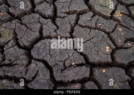 Il cambiamento climatico e il riscaldamento globale: la siccità e il calore provocando suolo incrinato Foto Stock