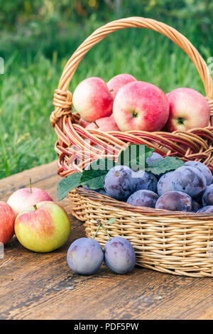 Appena raccolte mature le prugne e mele rosse in cesti di vimini su vecchie tavole di legno con giardino erba sullo sfondo. Appena raccolto frutti Foto Stock