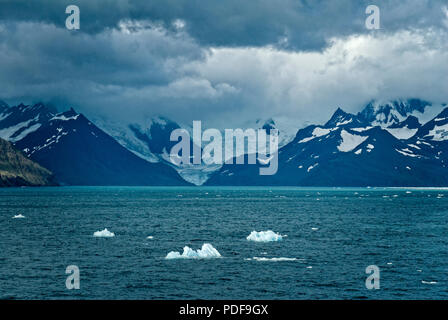 Pezzi di iceburg noto come bergy bit floating al largo delle coste della Georgia del Sud nell'Oceano del Sud Foto Stock