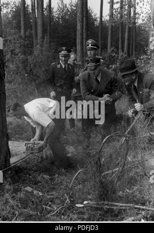 149 Hans Frank podczas wizytacji na wyrębie lasu, 1939-1945 Foto Stock