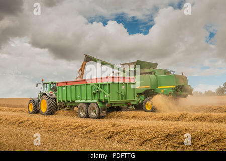 Agricoltura del Regno Unito, John Deere mietitrebbia Hillmaster harvester lavorando su un raccolto di grano, scaricando in un rimorchio, Agosto 2018 Foto Stock