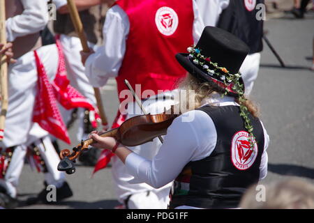 Morris ballerini, Fiddler musicista Tophat. Sidmouth Folk Festival, East Devon, Regno Unito. Foto Stock