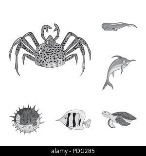 Una varietà di animali marini icone monocromatiche in set di raccolta per il design. Pesci e crostacei simbolo vettore illustrazione stock. Illustrazione Vettoriale