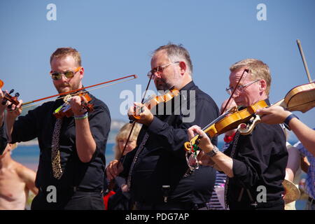 Frusta il gatto Rapper e intasare i musicisti, riproduzione di violini. Sidmouth Folk Festival, East Devon, Regno Unito. Agosto, 2018. Foto Stock