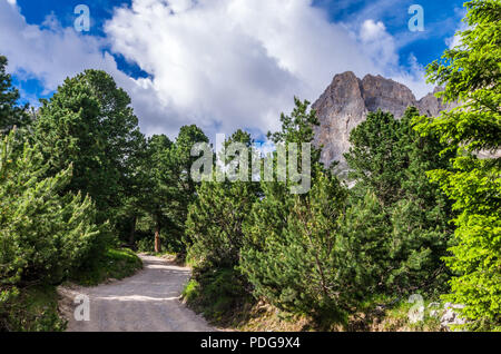 Rosengarten Catinaccio massiccio, Dolomiti, Italia. Vista spettacolare in Val di Vajolet, Dolomiti, Alto Adige, Alto Adige Foto Stock