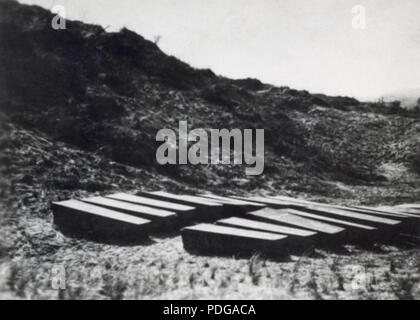 247 Ongeveer 15 kisten met de stoffelijke resten van Nederlandse verzetshelden die op de Waalsdorpervlakte zijn gefusilleerd Foto Stock