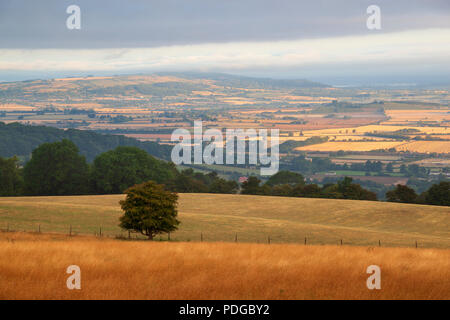 Vista da Broadway Tower hill oltre a Bredon Hill e la valle di Evesham con estate secca l'erba, Broadway, Cotswolds, Worcestershire, England, Regno Unito Foto Stock