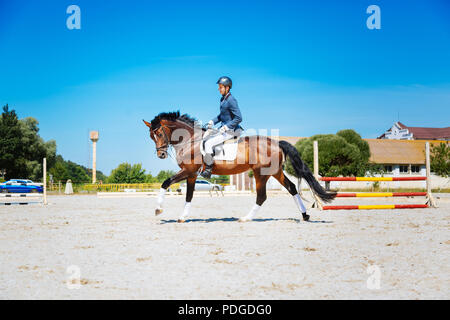 Equestre promettenti in sella al suo cavallo marrone molto veloce Foto Stock