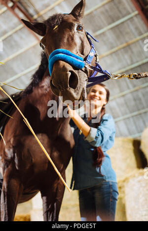 Dai capelli scuri Donna cavallo indossando il denim shirt avendo cura di cavallo Foto Stock