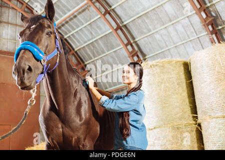 Cavallerizza godendo della sua professione durante la pulizia del cavallo scuro Foto Stock