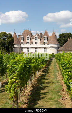 Chateau de Monbazillac e i vitigni, una vigna in Bergerac area della Dordogne, Monbazillac, Bergerac, Dordogne, Francia Europa Foto Stock