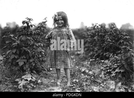 Laura Petty, di un 6 anno di età berry picker su Jenkins Farm. Sto solo beginnin'. Lambito due scatole di ieri, Giugno 1909 Foto Stock