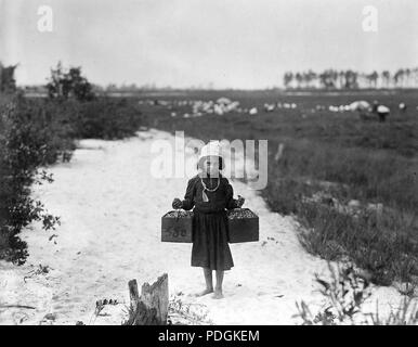 Rose Biodo, Philadelphia, 10 anni. 3 estati, menti baby e porta frutti di bosco, due pecks in corrispondenza di un tempo, Settembre 1910 Foto Stock