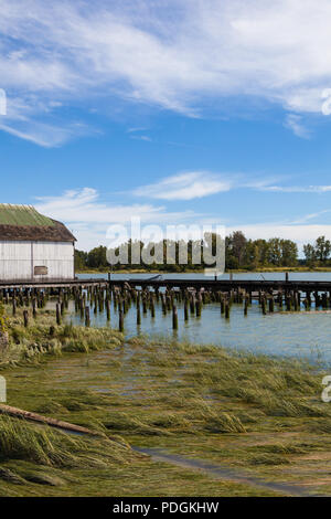 Patrimonio netto di loft costruzione sulle rive del fiume Fraser in Steveston, British Columbia Foto Stock