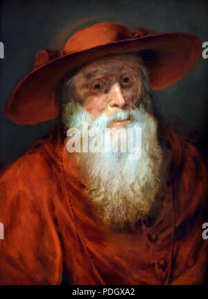 San Girolamo in costume cardinale 1625 Peter Paul Rubens (1577-1640) belga fiamminga del Belgio Foto Stock