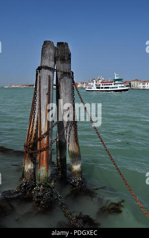 In legno antico posti di ormeggio;Catene;Canale della Giudecca;giudecca;;Venezia Italia Foto Stock