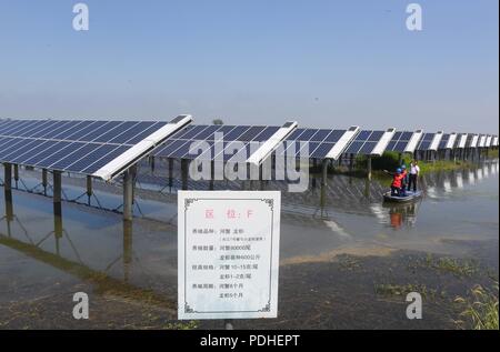 Tianchan, Tianchan, Cina. 10 Ago, 2018. Tianchang, CINA-fotovoltaica centrali possono essere visti presso lo stagno di pesce in Tianchang, est della Cina di Anhui Provincia.Il governo locale compie sforzi per combinare il pesce industria di allevamento con potenza PV industria, che migliora il reddito degli agricoltori locali. Credito: SIPA Asia/ZUMA filo/Alamy Live News Foto Stock