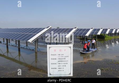 Tianchan, Tianchan, Cina. 10 Ago, 2018. Tianchang, CINA-fotovoltaica centrali possono essere visti presso lo stagno di pesce in Tianchang, est della Cina di Anhui Provincia.Il governo locale compie sforzi per combinare il pesce industria di allevamento con potenza PV industria, che migliora il reddito degli agricoltori locali. Credito: SIPA Asia/ZUMA filo/Alamy Live News Foto Stock