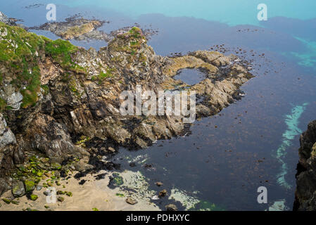 Rockpools marea / piscine di roccia con alghe marine alla base della scogliera sul mare con la bassa marea Foto Stock