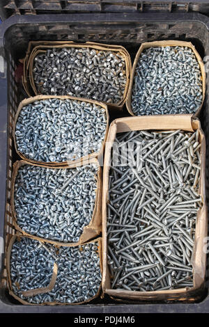 Scatole di viti per legno in hardware shop Foto Stock