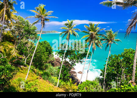 Bellissima spiaggia di Sri Lanka,vista con un mare azzurro e palme. Foto Stock